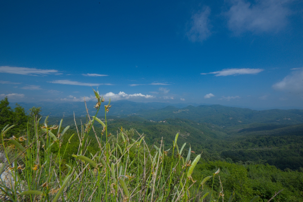 Vue au Monte Alpe 1