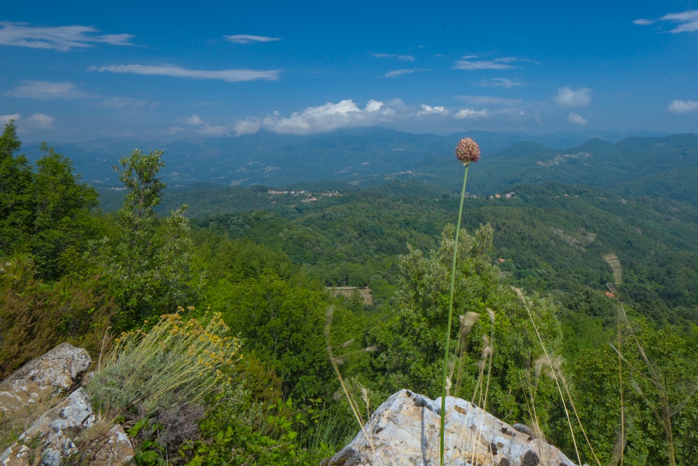 Vue au Monte Alpe 2